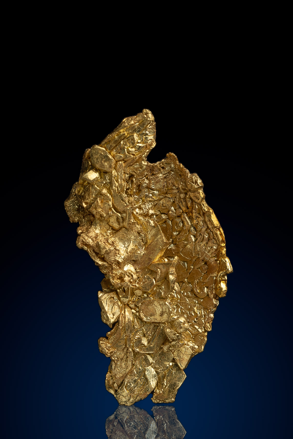 Layered and Sharp - Natural Gold Crystal from Colorado